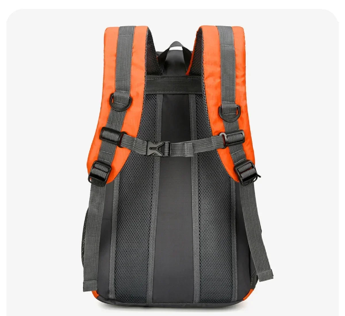 arrière du sac a dos léger pour randonnée